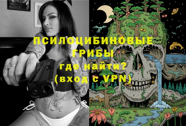 дмт Алексеевка