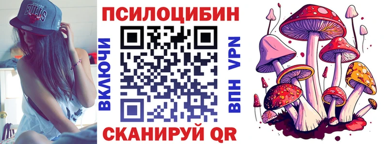цены наркотик  Венёв  мега как зайти  Галлюциногенные грибы мицелий 